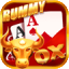rummy 101 bonus